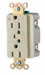 IG5262BLS - Surge (TVSS) Receptacles Surge Protection (TVSS) (51 - 75) image